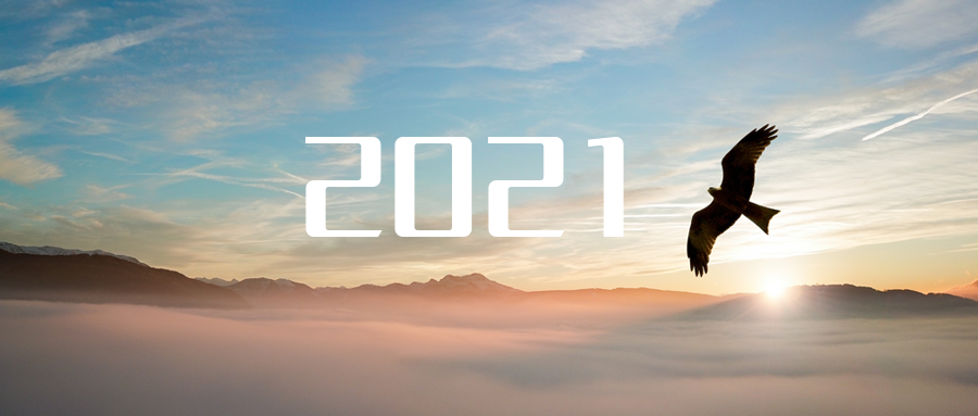 乘“峰”而上，智“盈”未来 ——2021年K8凯发官网环境高级资深副总裁新年开工动员